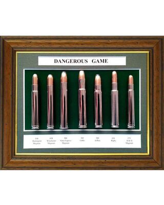 Dangerous Game Collection 2