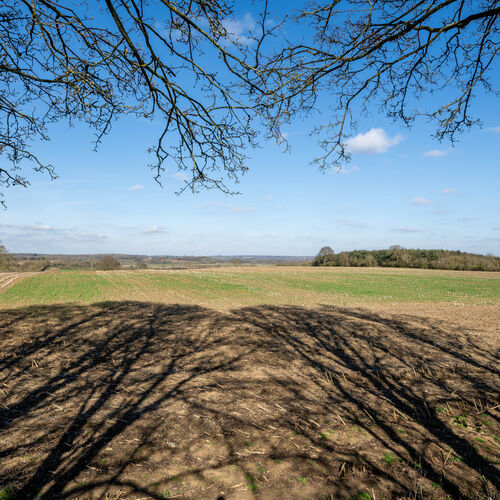 Cuttle Mill Bank Cottage