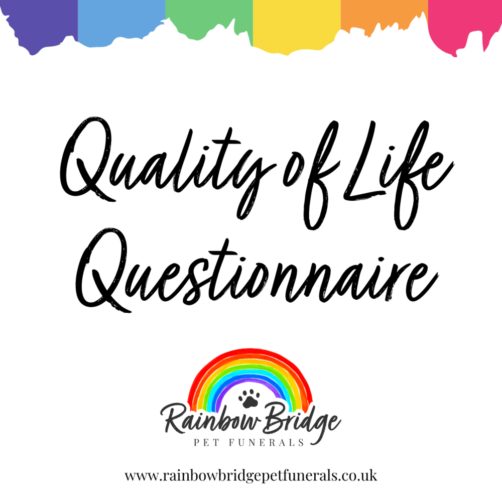 Supporting Your Pet’s Final Chapter: Try Our Pet Quality of Life Questionnaire | Rainbow Bridge Pet Funeral Services