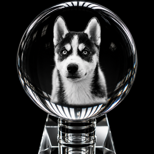 3D Crystal XXXL Sphere Photo Gift with LED Base – 100 mm