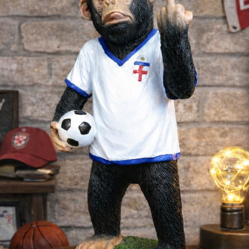 Standing up yours England chimp.
