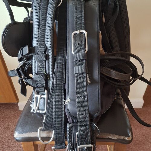 Cob Harness Set *Secondhand*