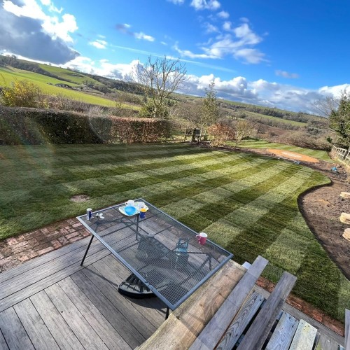 Beginner’s Guide to Garden Lawn Care