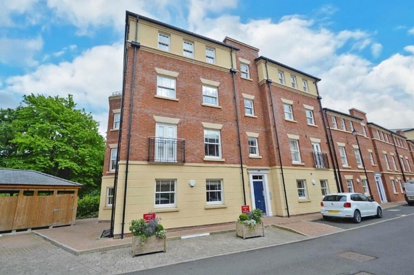 IN THE LOOP FEBRUARY 2026