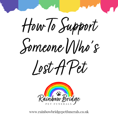 How To Support Someone Who's Lost A Pet