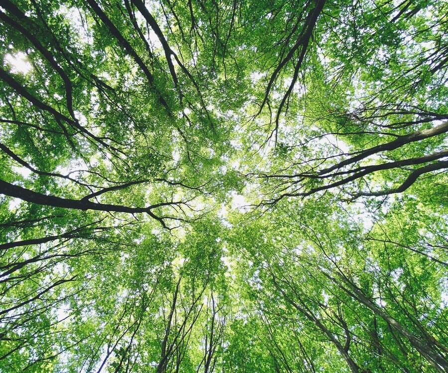 Retreats With Impact  | Retreats With Impact