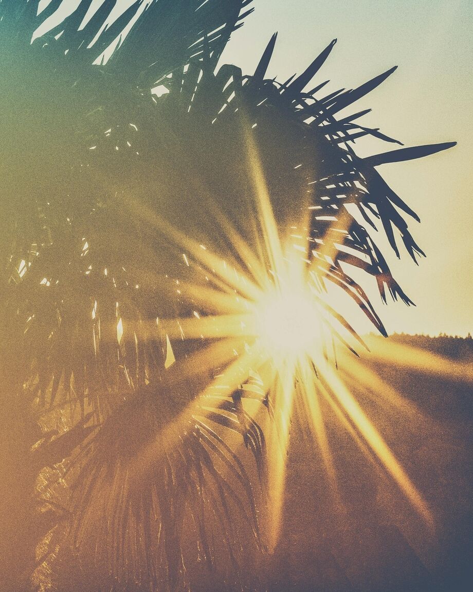 A Grand Stellium in Aries 