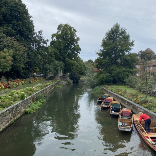 Workplace Wellbeing and Resilience 