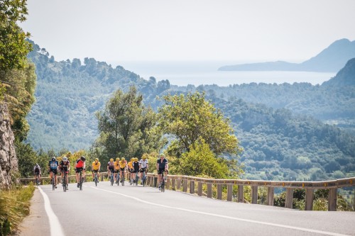 Heart Rate vs. Power: Which Metric Actually Wins Your Next Ironman?