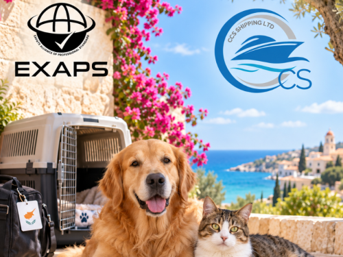 Moving Your Pet to Cyprus: A Practical Guide | EXAPS