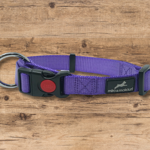 Collar 30 - 45cm Purple