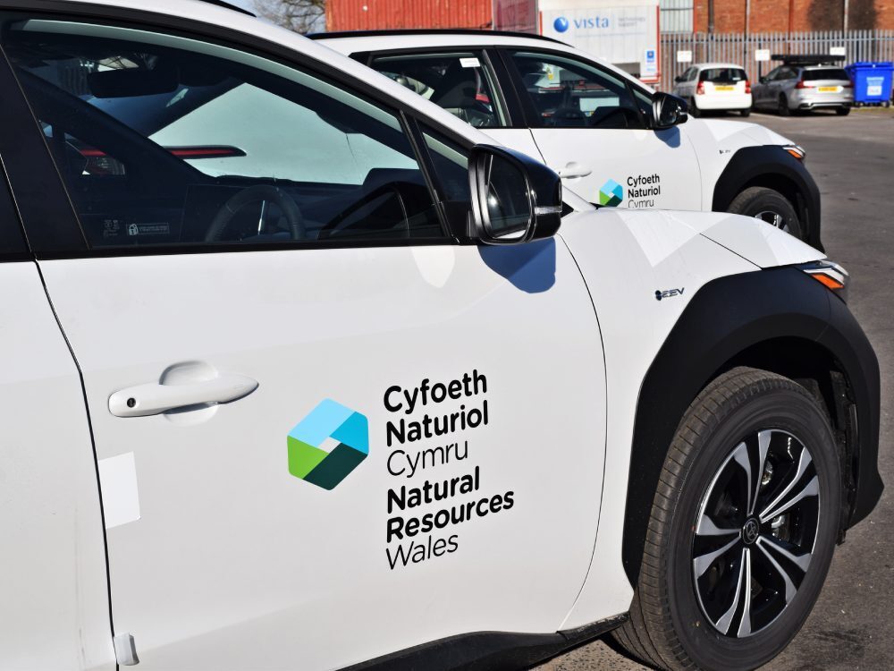 Branded vinyl graphics on white Toyota BZ4X company cars.