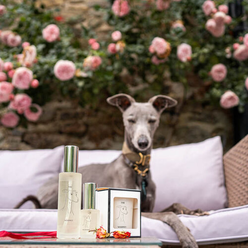 The Whippet Room/Upholstery Spray