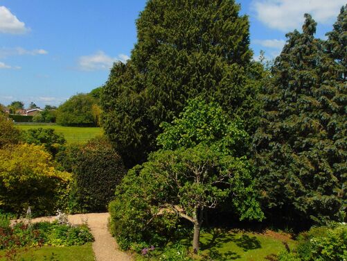 Late Summer in Oxfordshire 2026