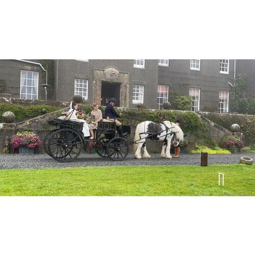 Victorian Wedding Carriage