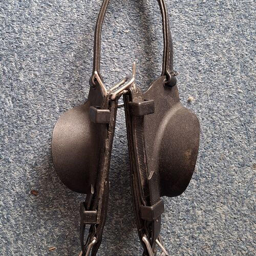 Driving Bridles