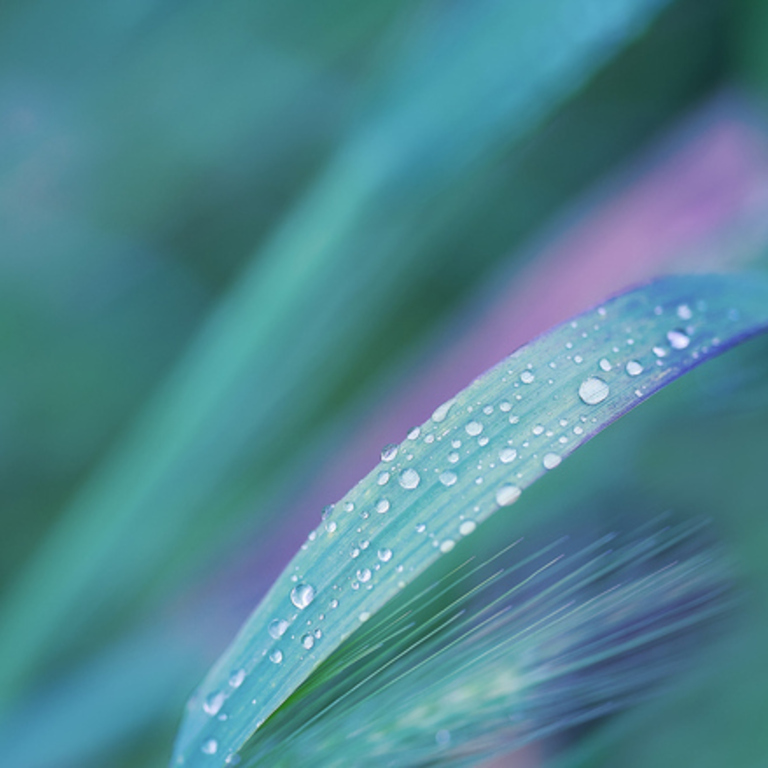 Trauma, CPTSD, PTSD, Abuse counselling therapy Merthyr Tydfil 