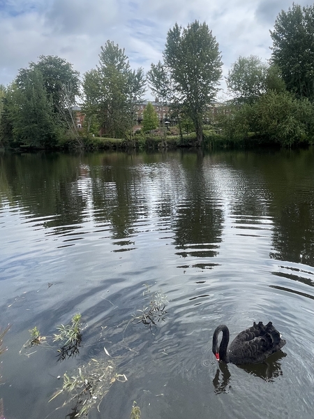 *ON THE BRIGHT SIDE AUGUST - OCTOBER 2025*