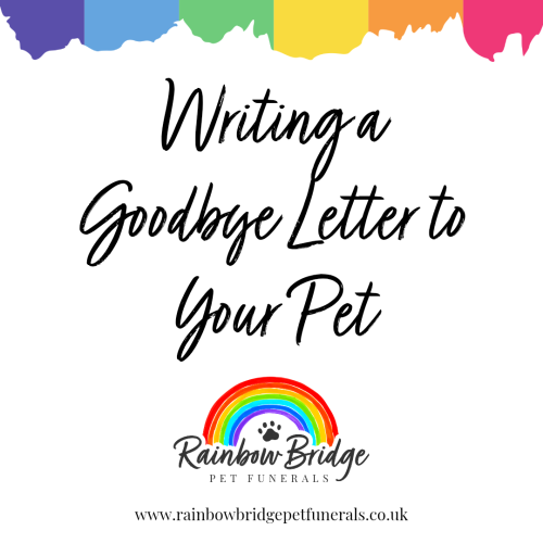 Writing a Goodbye Letter to Your Pet: Healing Through Words