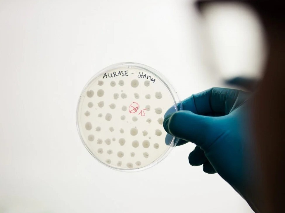 SolasCure announces Series A raise