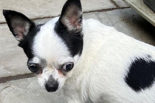 Tilly