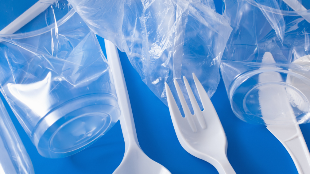 How Plastics and Xenoestrogens Are Wrecking Your Hormones – And What to Do About It