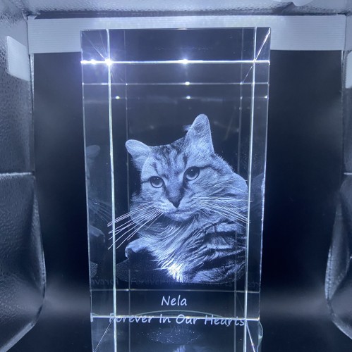 Some Of Our Stunning Engravings So Far This Week