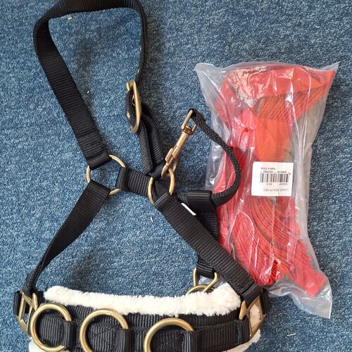 Lunge Cavesson & Lunge Line