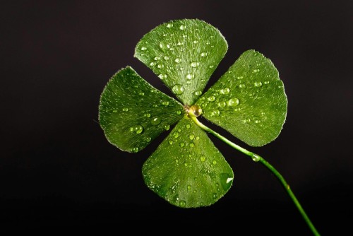 Why those born under Sagittarius, seem to have luck on their side.