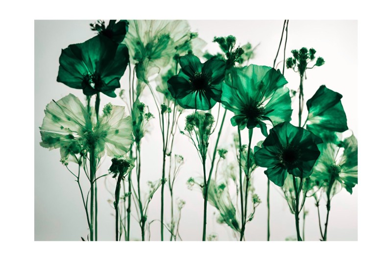 Why Am I Anxious All the Time – Even When Nothing Seems Wrong?