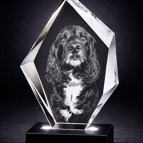 Pet 3D Crystal Gifts | 3d Crystal Shop | 3d crystal glass engraving | Personalised 3d engraving  | 3d crystal photo