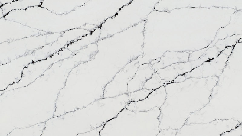Calacatta Noir 