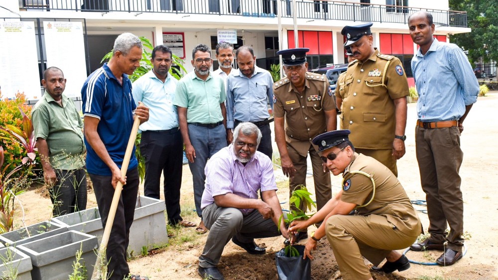 சூழல் பாதுகாப்புக்காக கல்முனை பொலிஸாரினால் முன்னெடுக்கப்பட்ட மரநடுகை