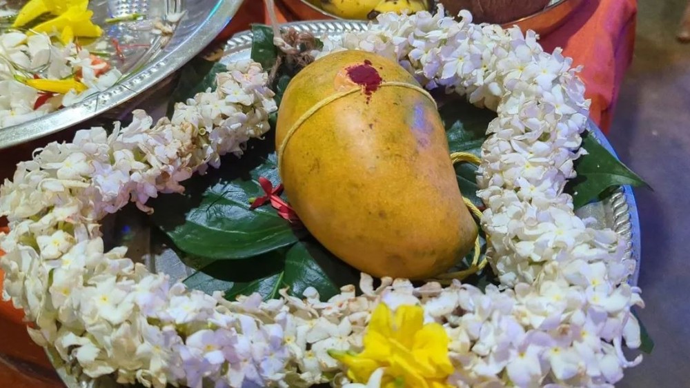 வவுனியாவில் ஏலத்தில் விற்கப்பட்ட மாம்பழத்தின் விலை