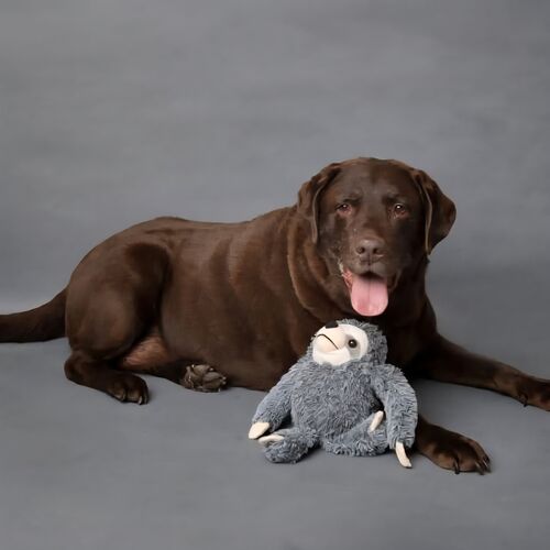 Online Book of Remembrance | Rainbow Bridge Pet Funeral Services