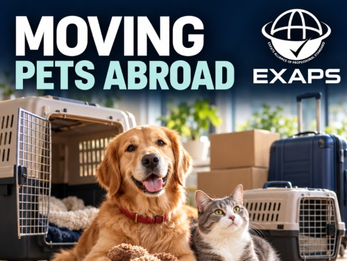 Moving Pets Abroad: A Practical Guide | EXAPS