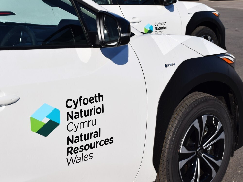 Branded vinyl graphics on fleet of white company cars.