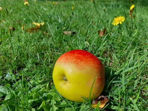 Late Summer in Oxfordshire 2026