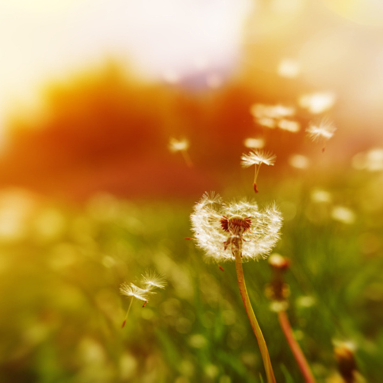 Counselling Therapy Merthyr Tydfil South Wales Faceto Face, Online and Telephone 