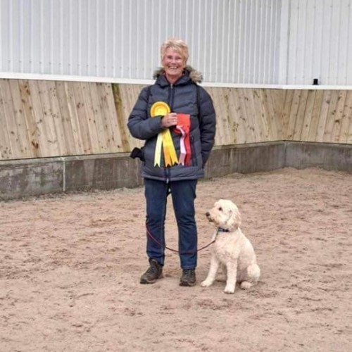 Open obedience Show (capped) 24th January 2027