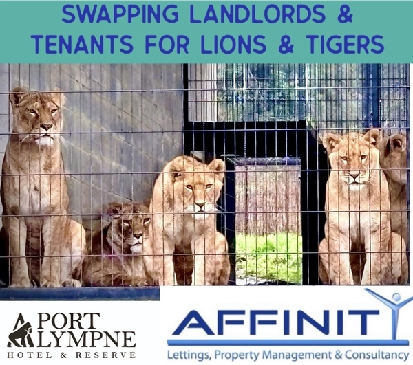 Property Management: Lessons from the Lion’s Den