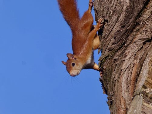 FULL - Caldey Island Pilgrimage Retreat, Wales 2026 - FULL