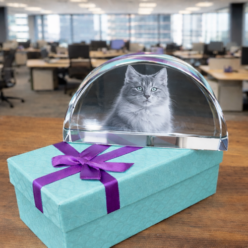 Fabulous New Luxury Nairn Half Moon Crystal.