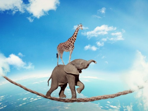 Timeshare: Planned to Fail 