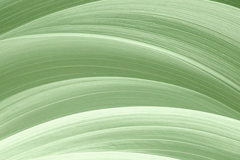 How Body-Based Therapy for Trauma Is More Effective Than Talking Therapy