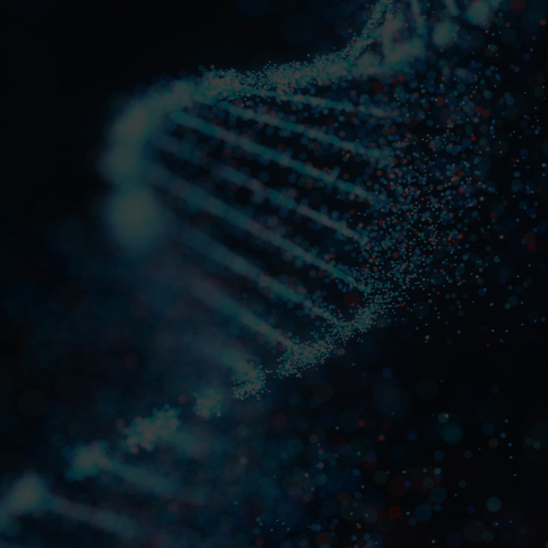 Synergised Peptides