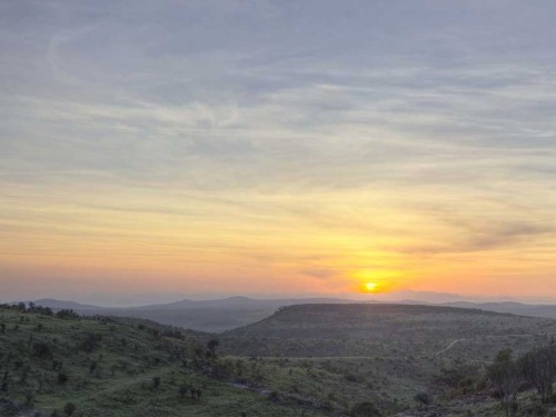 A Journey to Pride Rock