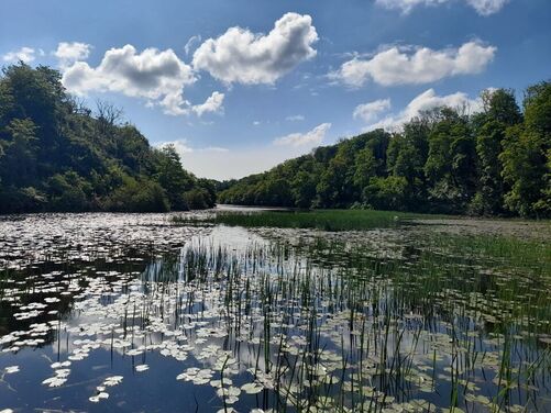 FULL -Tenby, St Davids and the Pembrokeshire Coastal Path, Wales 2026 - FULL