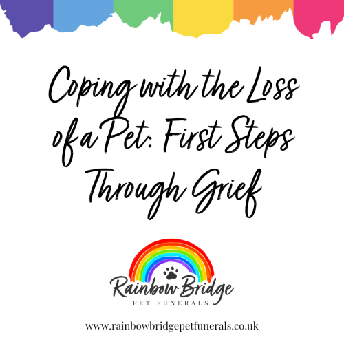 Coping with the Loss of a Pet: First Steps Through Grief