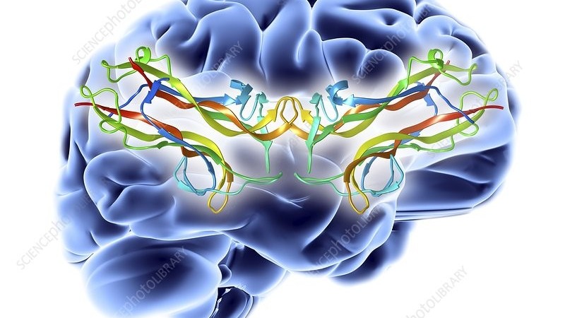 Your genes and exercise